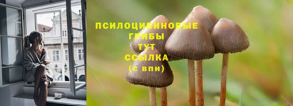 кокаин Бородино