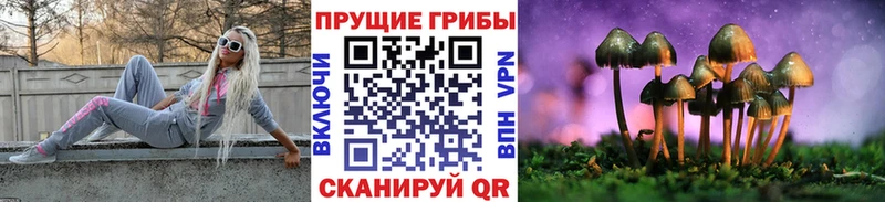 даркнет сайт  OMG как зайти  Галлюциногенные грибы ЛСД  Наро-Фоминск 